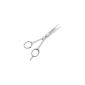 Hair Scissors Barber scissors 6 inches 15.5 cm with unilateral microtoothing (Personal Care)