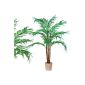 Coconut Palm Tree, Real Log, Art Palm, art plant, art tree - 160cm