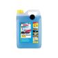 SONAX 03325050 Antifreeze & clear view concentrate 5 liter (Automotive)