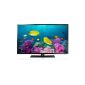 Samsung UE42F5000 107 cm (42 inch) TV (Full HD, twin tuner) (Electronics)