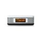 Memorex M10130 Dual Alarm Clock Radio for iPhone and iPod (Digital FM radio, line-in, LCD display) gray (Electronics)