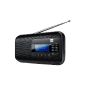 Dual IR 5 Internet Radio (WiFi (WEP, WPA, WPA2), RDS PLL FM tuner, battery, headphone jack) Black (Electronics)