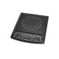 Induction hob 1800W induction hob self-sufficient hob hotplate Camping