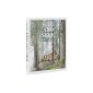 Hide and Seek: The Architecture of Cabins and Hide-Outs (Hardcover)