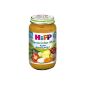 Hipp Colorful potato bake, 6-pack (6 x 220g) - Organic (Food & Beverage)