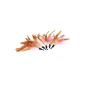 5x Spare Cat spring toys for cat fishing game fishing cat toys fashion (Misc.)