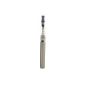 eGo - eGo-T Electronic Cigarette with USB Charger - Without nicotine nor tobacco (Health and Beauty)