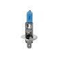 Dectane XERH1-100 H1 Xenon lamp 12V / 100W (2 pcs.) (Automotive)
