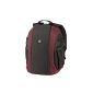 Tamrac Zuma 9 Secure Traveler Backpack for DSLR Camera and external laptop compartment black / burgundy (Electronics)