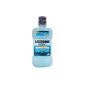 Listerine Zero solution 500 ml (Personal Care)