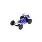 Remote Controlled RC Car - XciteRC High Speed ​​Buggy Race - 2WD RTR model car (toy)