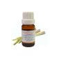 EOBBD Essential Oil of Citronella 10ML (Cymbopogon winterianus) (Health and Beauty)