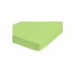Biberna 12344/477/040 stretch terry cloth fitted sheet, 90 x 190 cm to 100 x 200 cm, according to Oeko-Tex Standard 100 - suitable for mattress heights up to 22 cm, color: light green (household goods)