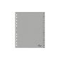 Durable Filers A4, AZ, gray, 1 piece, 6520-10 (Office supplies & stationery)