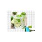 Tile Sticker Tile foil self-adhesive tiles ImagesNature lime mint refreshment soda tile size 15x15cm (Number = 8 tiles wide and 8 high) (household goods)