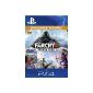 Far Cry 4: Season Pass [Additional Contents] [PSN Code for German bank account] (Software Download)