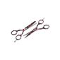 Canduré - Stainless Steel Set Hair - Hair Scissors Scissors + Professional Sculptors - 13.97 cm (5.5 '') - + Black and Rose Flower Set + Case (Electronics)