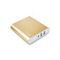 JETech® 10400mAh Ultra Compact Dual USB Portable Battery Power Bank Power Pack USB External Battery and Portable Charger for iPhone 6/5/4, iPad, iPod, Samsung devices, smart phones, tablet PCs (Champagne Gold) (Wireless Phone Accessory)
