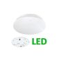 LE 12W hole diameter 28cm LED ceiling lights, replace 80W incandescent bulbs (22W fluorescent tubes), 950lm, warm white, 3000K, 120 ° viewing angle, LED ceiling lights, ceiling lights in the living room, bedroom, dining room