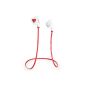 Q5 Bluedio Bluetooth Stereo Sports Headset / Bluetooth 4.1 wireless earphone / headset for the exercises to extérieu Gift packing (Red) (Electronics)