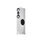 Canton carat 790 DC tower speaker (180/300 Watts) High Gloss White (Pair) (Electronics)