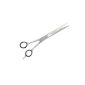 Hair Scissors 7 inch 2-sided microtoothing (Personal Care)