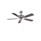 Westinghouse 7240640 ceiling fan design and Combine Apollo (household goods)