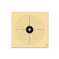100 Air rifle targets 14 x 14 cm / targets for air rifle (Misc.)