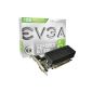 EVGA GeForce GT 610 graphics card NVIDA (PCI-e, 1GB GDDR3 memory, VGA, 1 GPU) passive (accessories)