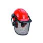 Einhell forestry helmet, individually adjustable (tool)