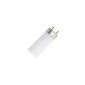 Fluorescent lamp L 36 W 865 - Osram 36W daylight (Housewares)