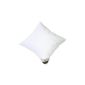 Häussling 110380301502 pillow - 3-compartment comfort, 80 x 80 cm, white (household goods)