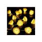 Lerway 20 LED roses Fairy Lights Battery powered interior lighting Outdoor Garden Lawn Bar Association wedding Valentine's Day Christmas (Warm White) (household goods)