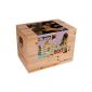 Wooden blocks in a wooden box, 500 parts (toy)