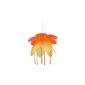 And Mr. R. Coudert - Suspension - Suspension orange flower (Baby Care)