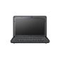 Samsung N130 anyNet 25.7 cm (10.1 inches) Netbook (Intel Atom N270 1.6GHz, 1GB RAM, 160GB HDD, Intel 950, Win 7 Starter) (Personal Computers)