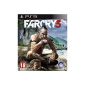 Far cry 3 (Video Game)