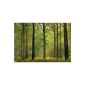 IDEALDECOR 216 Autumn Forest, 366 x 254 cm (tool)