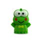 818-TEch No10100050016 Hi-Speed ​​USB 2.0 16GB 3D comic green frog (Electronics)