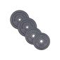 Weight plates 2 x 10 and 2 x 5 kg Cast 30mm (Misc.)