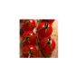 Red, sweet cherry tomato - even for the bucket - grape sugar - 20 seeds (garden products)