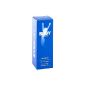 Everdry Anti-perspirant bottles 50 ml (Personal Care)