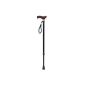 Aidapt VP155F extendable rod with wooden handle (Health and Beauty)