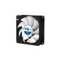 ARCTIC F8 TC - Temperature-controlled 80 mm high-performance case fan with standard housing - versatile - extremely quiet and efficient (Personal Computers)