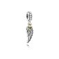 Pandora Women's Charm love and protection 925 Silver - 791 389 (jewelry)