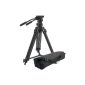 Camlink TPVIDEO1 professional tripod Camcorder fluid pan head (UK Import) (Accessory)