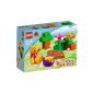 Winnie the Pooh in the Duplo country