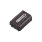 Sony NPFH50.CE ActiFORCE Info H-series lithium battery (980mAh) (Camera)