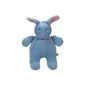 MAM 669 501 - Musical cuddly toy, hare Blue (Baby Product)