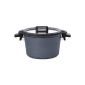 Wool embers incl. Strainer ConceptPlus Cookware Casserole induction pot NEU OVP (household goods)